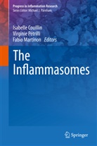 Isabelle Couillin, Fabio Martinon, Virginie Petrilli, Virgini Pétrilli, Virginie Pétrilli - The Inflammasomes