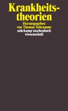 Thoma Schramme, Thomas Schramme - Krankheitstheorien