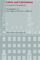 Iren Dingel, Irene Dingel, J Selderhuis, J Selderhuis, Herman Selderhuis, Herman J. Selderhuis - Calvin und Calvinismus