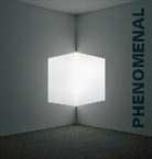 Robin L. Clark, Robin Lee Clark, Robin Clark, Robin Lee Clark, Clark Robin, Hugh M. Davies... - Phenomenal: California Light, Space, Surface