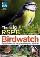 David Chandler - The Big RSPB Birdwatch