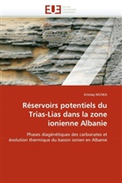Kristaq MUSKA, Muska-K - Reservoirs potentiels du trias