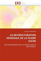 Benyoucef BENZOHRA, Benzohra-B - La restructuration mondiale de la