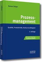 Roman Stöger, Roman (Dr.) Stöger - Prozessmanagement