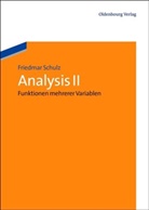 Friedmar Schulz - Analysis II