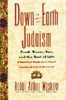 Arthur Waskow - Down-To-earth Judaism