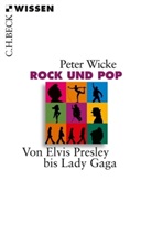 Peter Wicke - Rock und Pop
