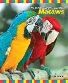Julie Mancini - Macaws