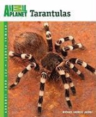Michael A. Jacobi, Michael Andreas Jacobi - Tarantulas