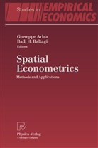 Giusepp Arbia, Giuseppe Arbia, Badi Baltagi, Badi H. Baltagi, H Baltagi, H Baltagi - Spatial Econometrics