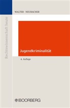 Frank Neubacher, Michae Walter, Michael Walter - Jugendkriminalität