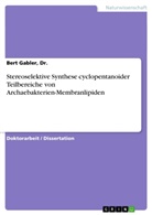 Gabler, Bert Gabler, Dr Bert Gabler, Dr. Gabler, Dr. Bert Gabler - Stereoselektive Synthese cyclopentanoider Teilbereiche von Archaebakterien-Membranlipiden