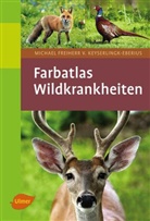 Michael Freiherr v. Keyserlingk-Eberius, Michael Frhr. von Keyserlingk-Eberius, Michael von Keyserlingk-Eberius - Wildkrankheiten
