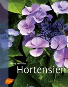 Harry van Trier, Harry van Trier - Hortensien
