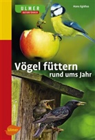 Hans Egidius - Vögel füttern rund ums Jahr