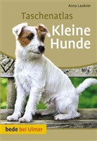 Anna Laukner - Taschenatlas Kleine Hunde