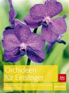 Jörn Pinske - Orchideen für Einsteiger