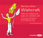 Barbara Sher, Ulrike Hübschmann - Wishcraft, 3 Audio-CDs (Audiolibro)