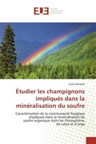 Lama Hamdan, Hamdan-L - Etudier les champignons impliques