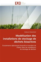 Shabnam Gholamifard, Gholamifard-S - Modelisation des installations de