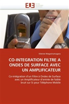 Etienne Ntagwirumugara, Ntagwirumugara-E - Co integration filtre a ondes de