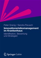 Pete Granig, Peter Granig, Sandra Perusch - Innovationsrisikomanagement im Krankenhaus