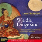 Lama Ole Nydahl, Ole Nydahl, Kurt Tepperwein, Axel Wostry, Axel Sprecher: Wostry - Wie die Dinge sind, 3 Audio-CDs (Hörbuch)