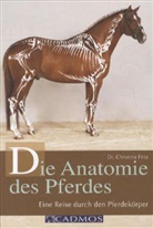 Christina Fritz, Christina (Dr.) Fritz - Die Anatomie des Pferdes