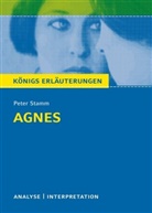 Peter Stamm - Peter Stamm 'Agnes'