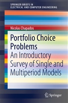 Nicolas Chapados - Portfolio Choice Problems
