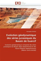 Mustapha NASSILI, Nassili-M - Evolution geodynamique des series