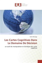 Salim Merazga, Merazga-S - Les cartes cognitives dans le