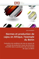 Boris HOUENOU, Houenou-B - Normes et production de cajou en