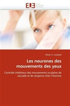 Olivier A Coubard, Olivier A. Coubard, Coubard-O - Les neurones des mouvements des yeu