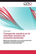 Raúl Fernández - Transporte reactivo en la interfase mortero de cemento-bentonita