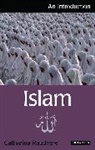 Catharina Raudvere - Islam