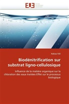 Rabiaa Fdil, Fdil-R - Biodenitrification sur substrat