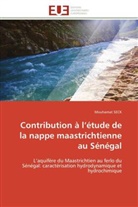 Mouhamat SECK, Seck-m - Contribution a l etude de la