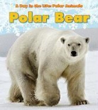 Katie Marisico, Katie Marsico - Polar Bear