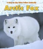 Katie Marsico - Arctic Fox