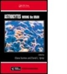 Eliana (Albert Einstein College of Medicin Scemes, Eliana (EDT)/ Spray Scemes, Eliana Spray Scemes, Eliana Scemes, Eliana (Albert Einstein College of Medicine Scemes, Scemes Eliana... - Astrocytes