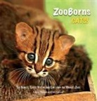 Andrew Bleiman, Andrew/ Eastland Bleiman, Chris Eastland - Zooborns Cats