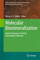 Werne E G Müller, Werner E G Müller, Werner E. G. Müller - Molecular Biomineralization