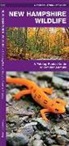 James Kavanagh, James/ Leung Kavanagh, Waterford Press, Raymond Leung - New Hampshire Wildlife