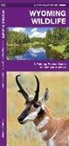 James Kavanagh, James/ Leung Kavanagh, Waterford Press, Raymond Leung - Wyoming Wildlife