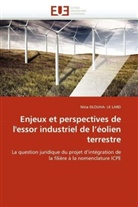 Nina DLOUHA- LE LARD, Dlouha- Le Lard-N - Enjeux et perspectives de l essor