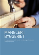 Christian Molt Wengel - Mangler i byggeriet