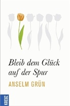 Grün Anselm, Rudolf Walter - Bleib dem Glück auf der Spur
