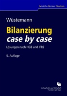 Jens Wüstemann - Bilanzierung case by case