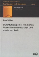 Dana Wildner, Ostinstitut Wismar, Ostinstitut Wismar - Durchführung einer feindlichen Übernahme im deutschen und russischen Recht